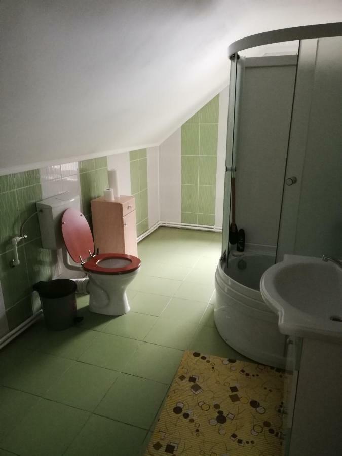 Pension, Camping & Biker Station Zur Deutschen Eiche Ciocanesti Buitenkant foto
