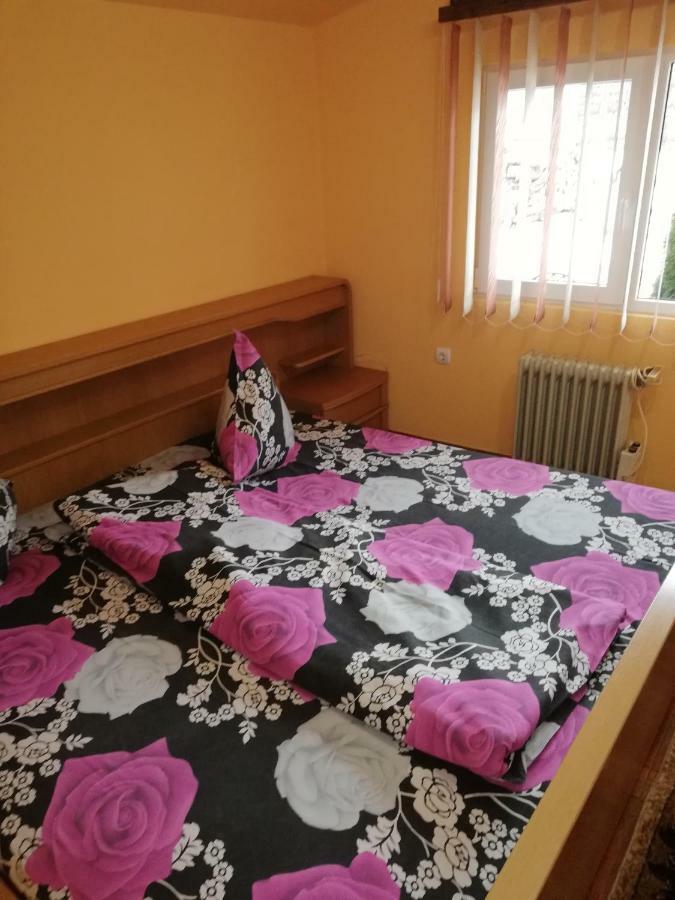 Pension, Camping & Biker Station Zur Deutschen Eiche Ciocanesti Buitenkant foto